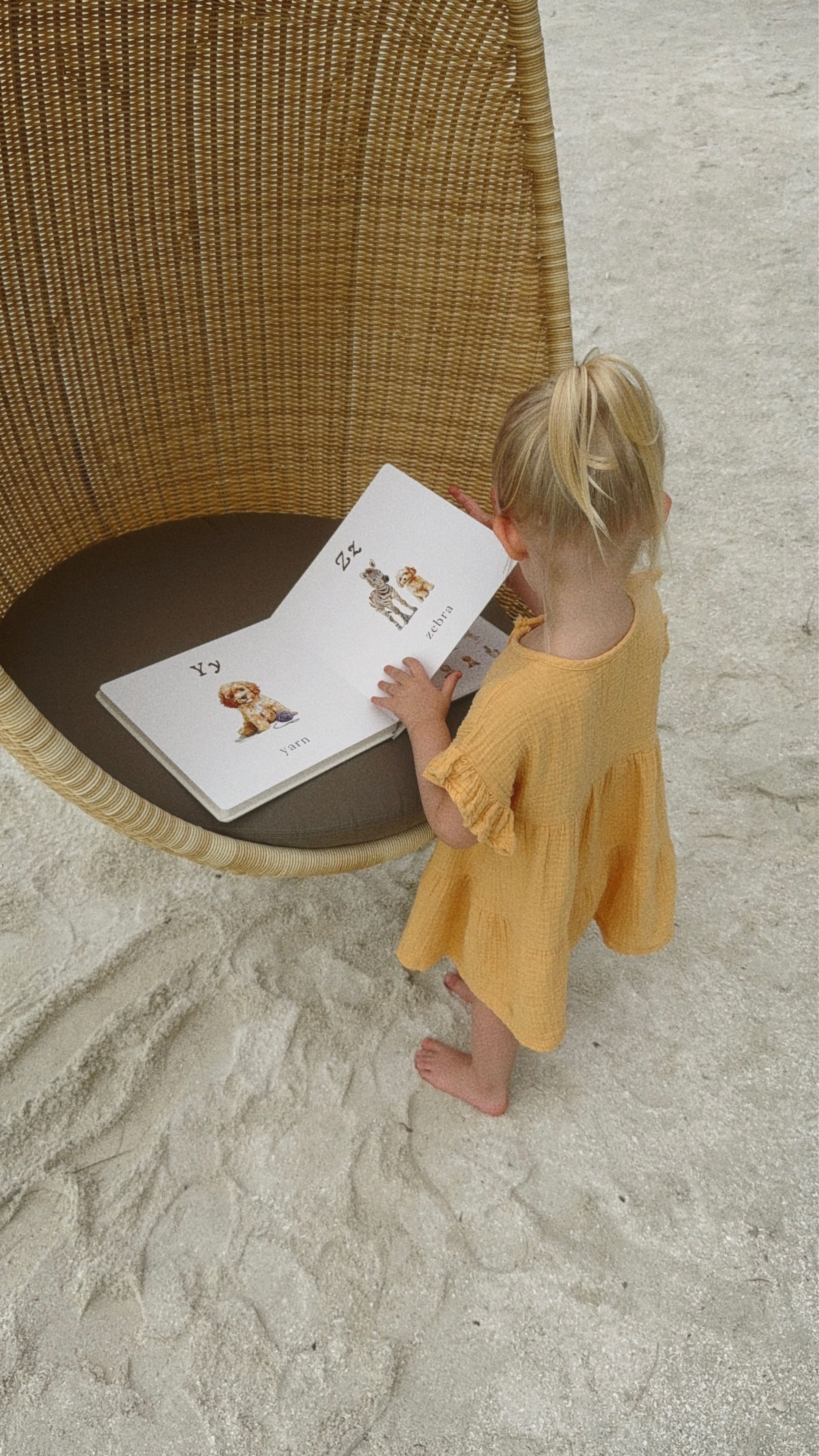 ABC the Alphabet with Doodle Dogs book lifestyle photo